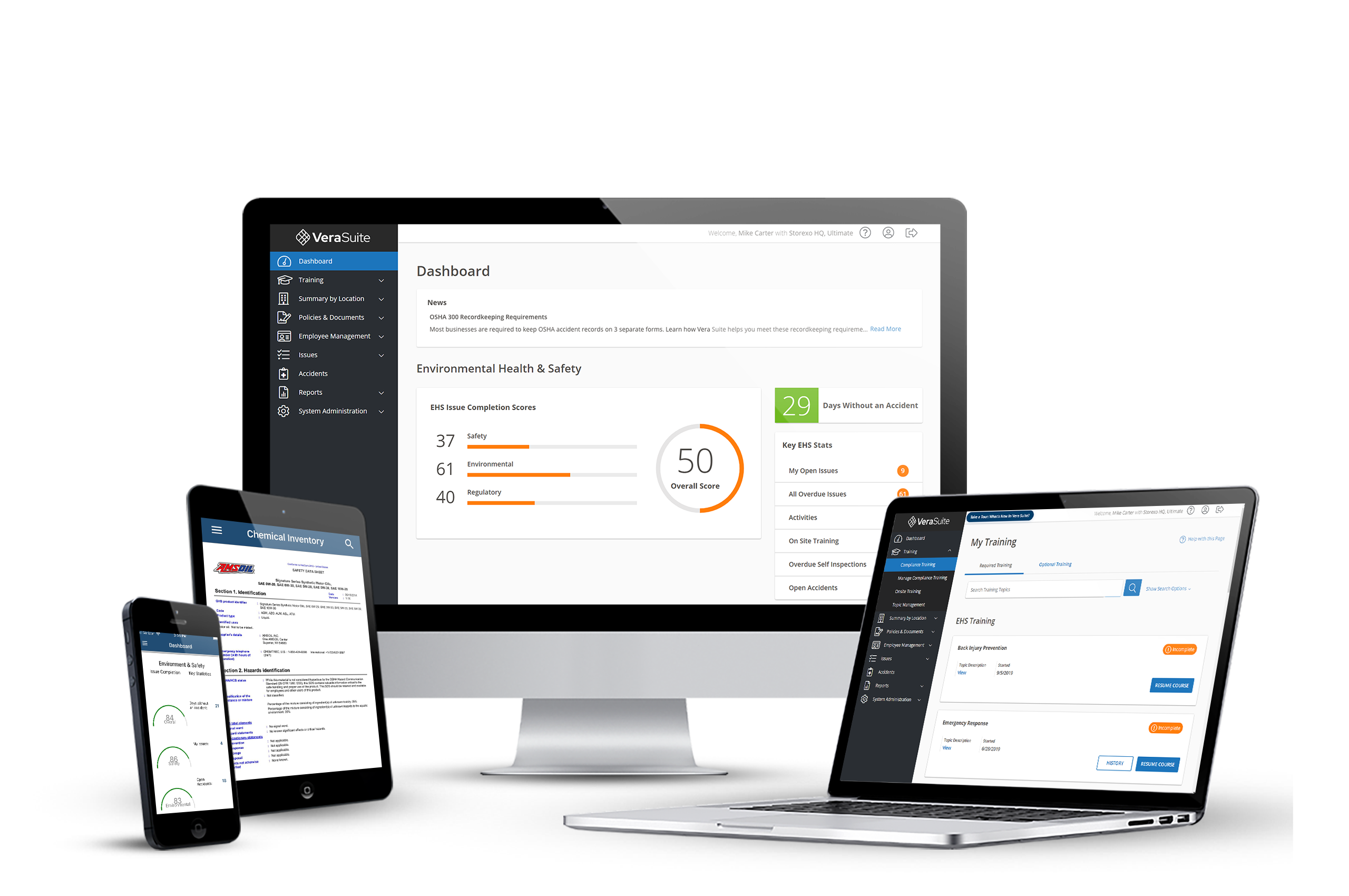 vera ehs montage tall